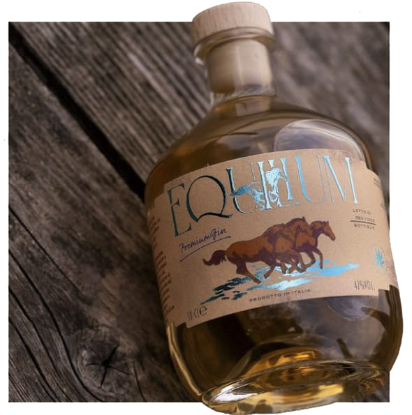 Equilium Gin